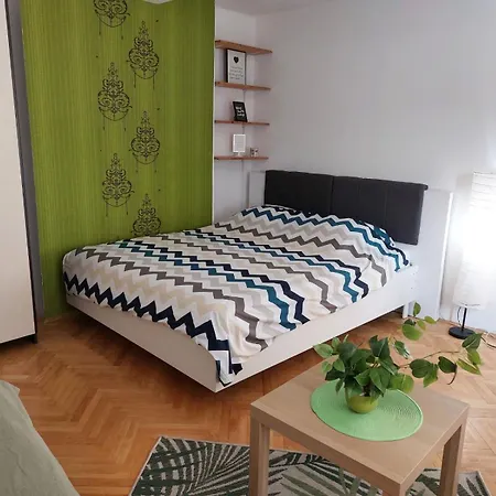 Kiwi * Novi Sad