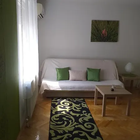 Kiwi * Novi Sad